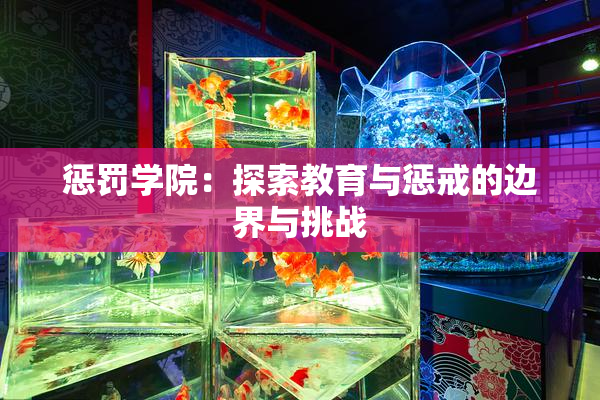 惩罚学院：探索教育与惩戒的边界与挑战