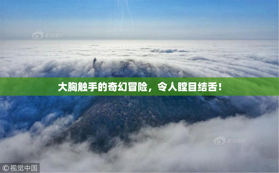 大胸触手的奇幻冒险，令人瞠目结舌！