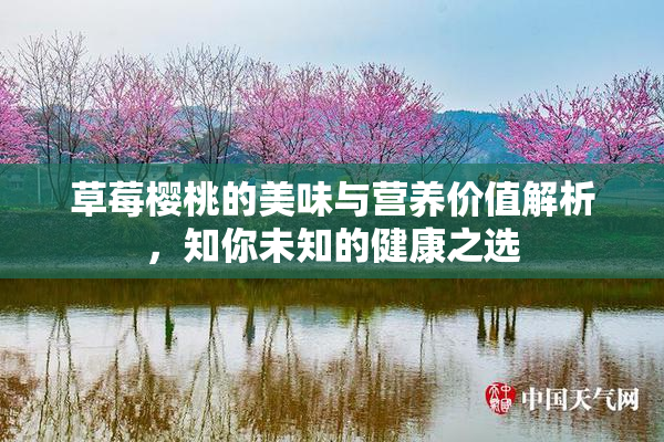 草莓樱桃的美味与营养价值解析，知你未知的健康之选