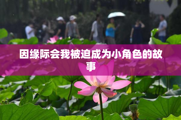 因缘际会我被迫成为小角色的故事
