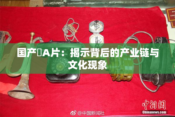 国产婬A片：揭示背后的产业链与文化现象