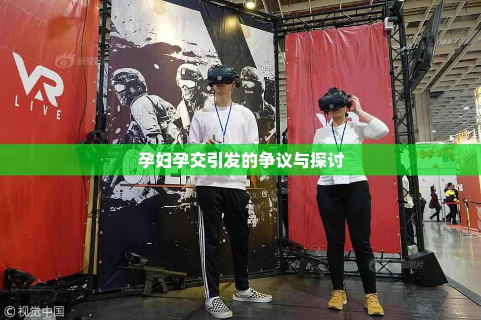 孕妇孕交引发的争议与探讨