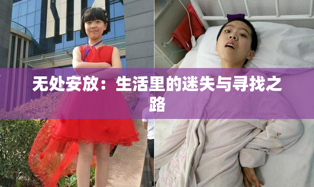 无处安放：生活里的迷失与寻找之路
