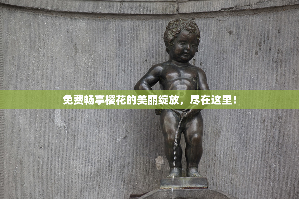 免费畅享樱花的美丽绽放，尽在这里！