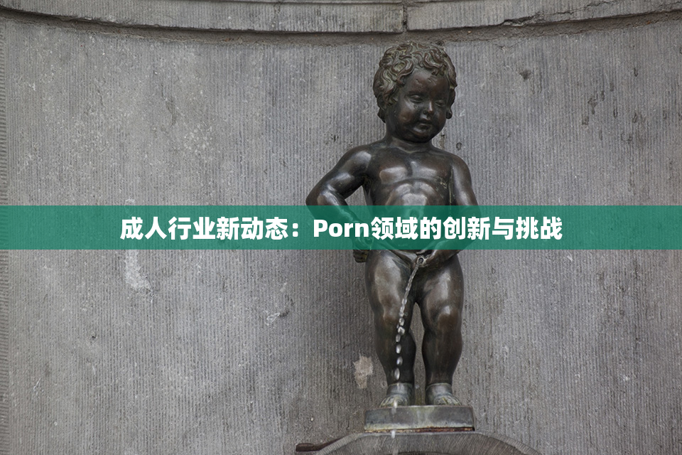 成人行业新动态：Porn领域的创新与挑战