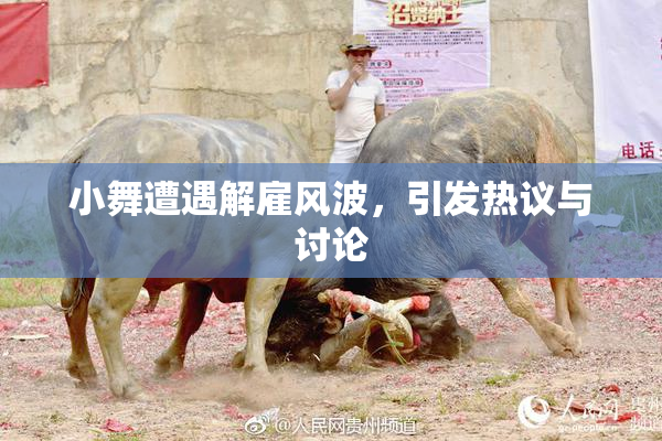 小舞遭遇解雇风波，引发热议与讨论