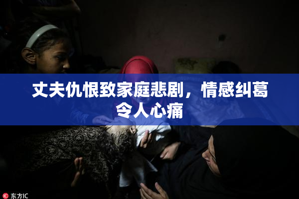 丈夫仇恨致家庭悲剧，情感纠葛令人心痛