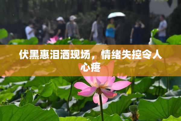 伏黑惠泪洒现场，情绪失控令人心疼