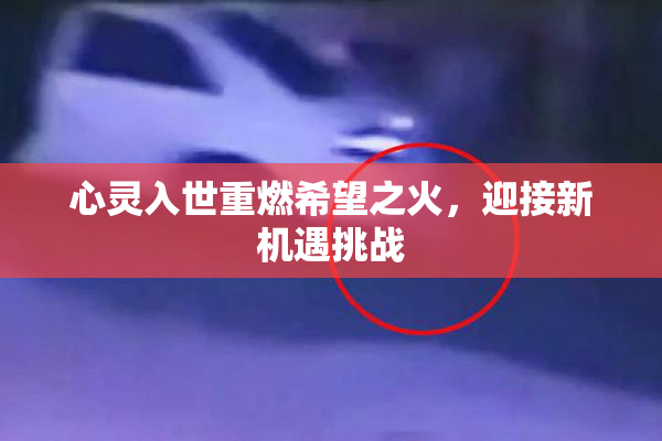 心灵入世重燃希望之火，迎接新机遇挑战