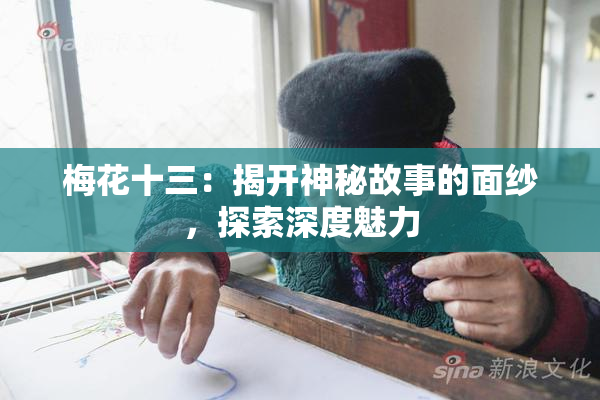 梅花十三：揭开神秘故事的面纱，探索深度魅力