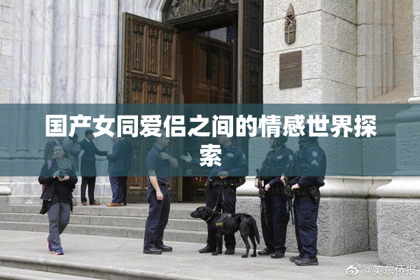 国产女同爱侣之间的情感世界探索