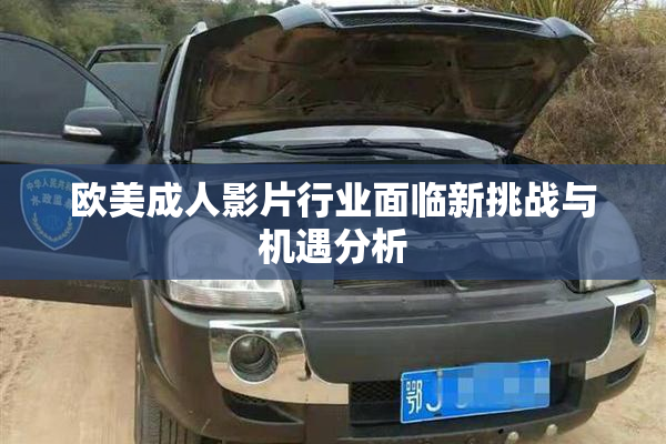 欧美成人影片行业面临新挑战与机遇分析