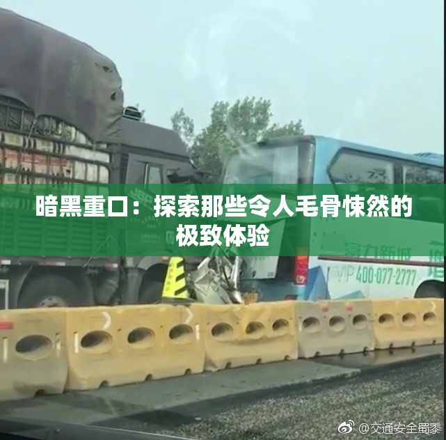 暗黑重口：探索那些令人毛骨悚然的极致体验