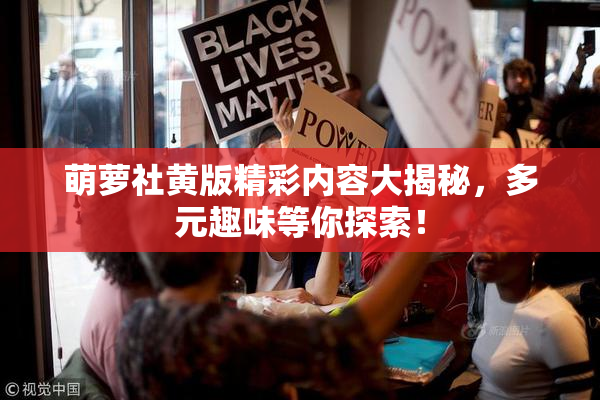 萌萝社黄版精彩内容大揭秘，多元趣味等你探索！