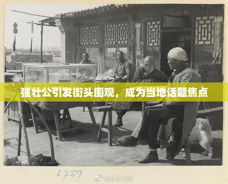 强壮公引发街头围观，成为当地话题焦点