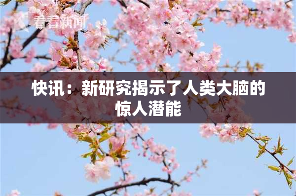 快讯：新研究揭示了人类大脑的惊人潜能