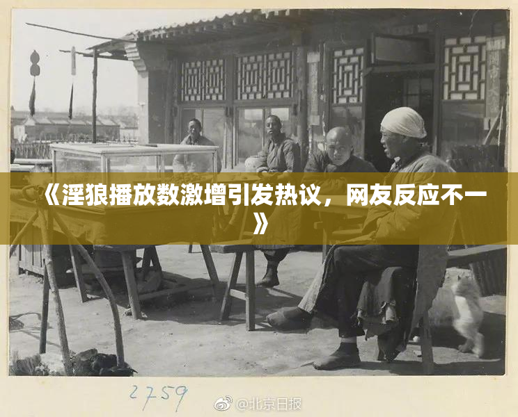 《淫狼播放数激增引发热议，网友反应不一》