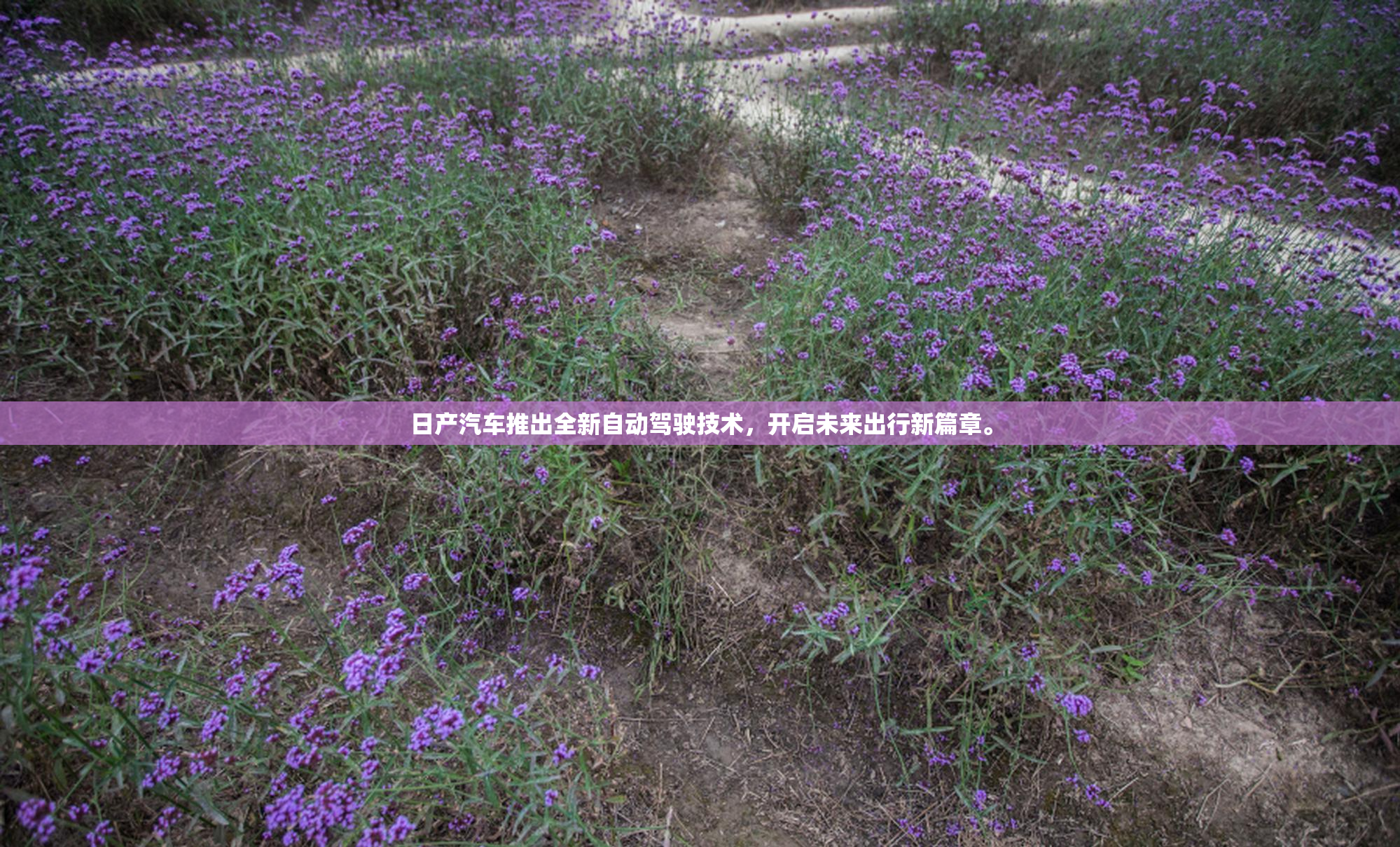 日产汽车推出全新自动驾驶技术，开启未来出行新篇章。
