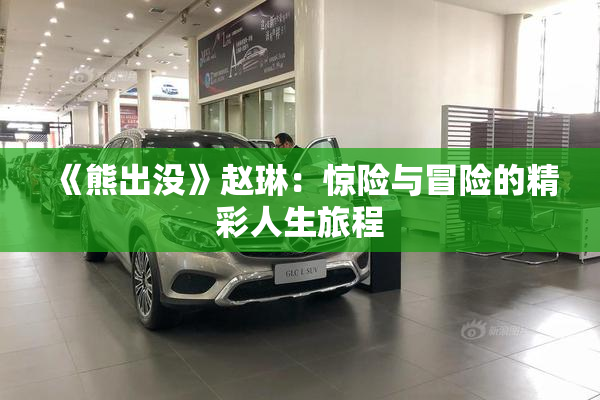 《熊出没》赵琳：惊险与冒险的精彩人生旅程
