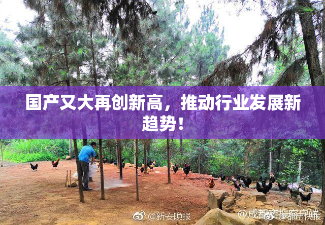 国产又大再创新高，推动行业发展新趋势！