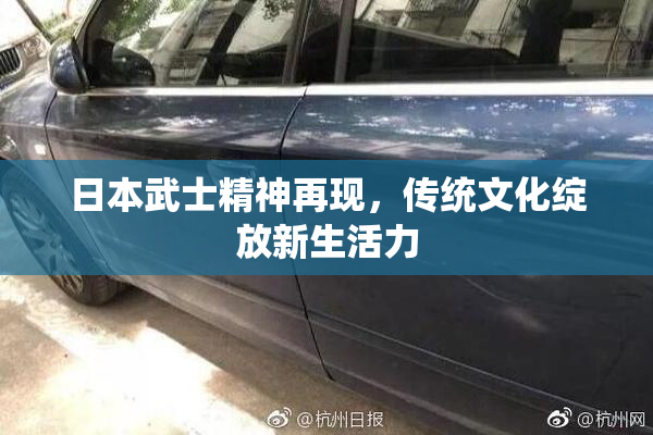 日本武士精神再现，传统文化绽放新生活力