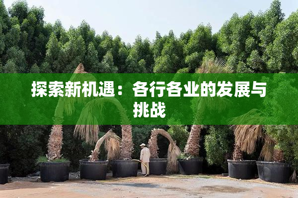 探索新机遇：各行各业的发展与挑战