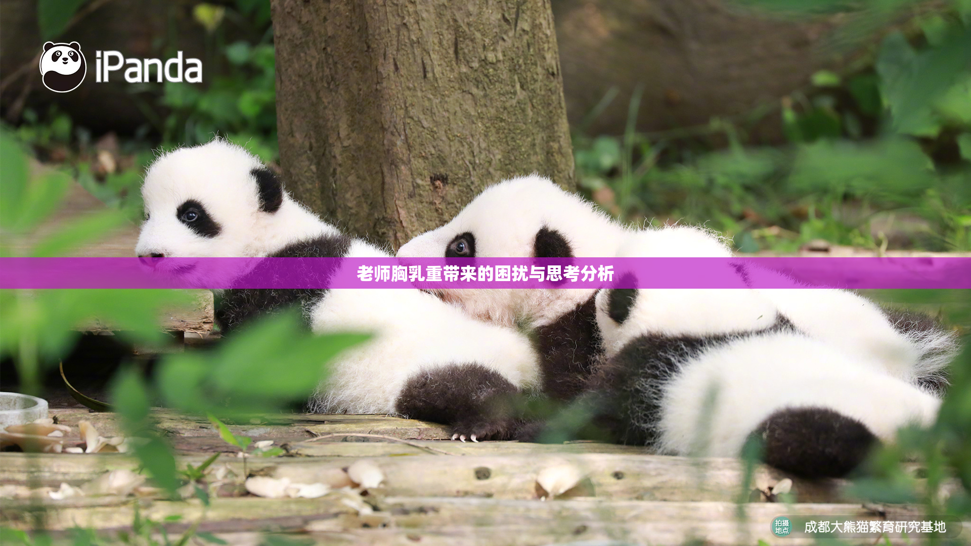 老师胸乳重带来的困扰与思考分析