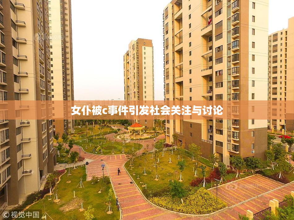 女仆被c事件引发社会关注与讨论