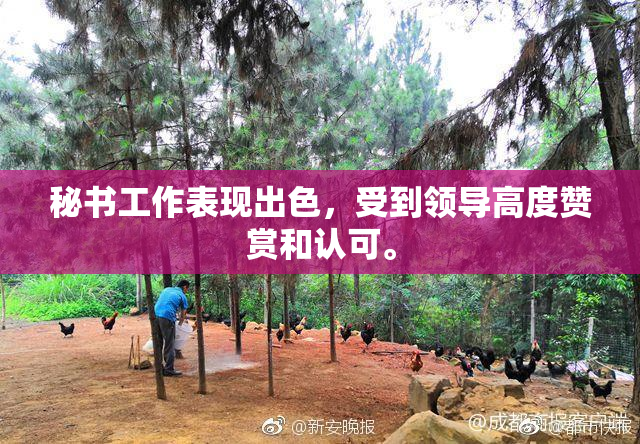 秘书工作表现出色，受到领导高度赞赏和认可。