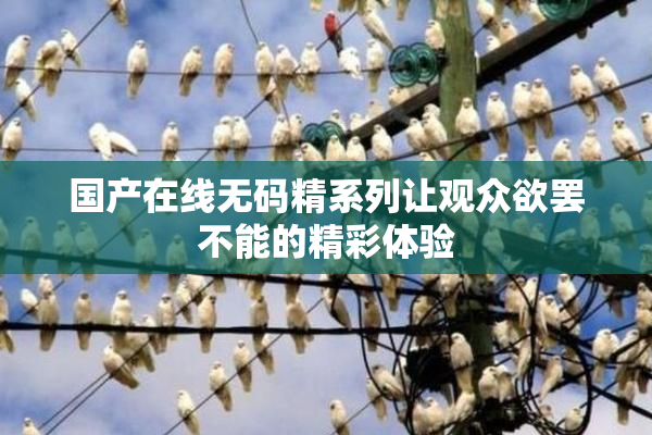 国产在线无码精系列让观众欲罢不能的精彩体验