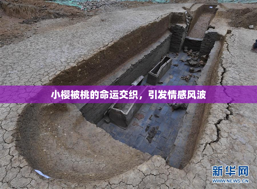 小樱被桃的命运交织，引发情感风波