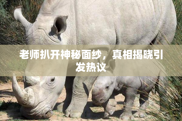 老师扒开神秘面纱，真相揭晓引发热议