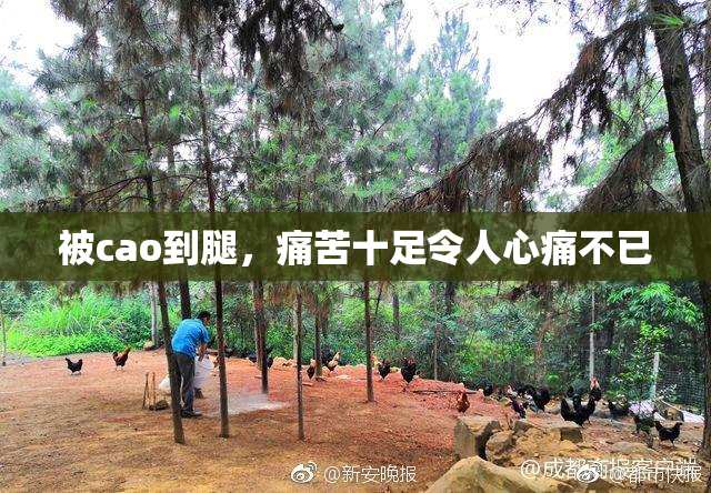 被cao到腿，痛苦十足令人心痛不已