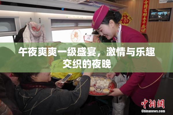 午夜爽爽一级盛宴，激情与乐趣交织的夜晚