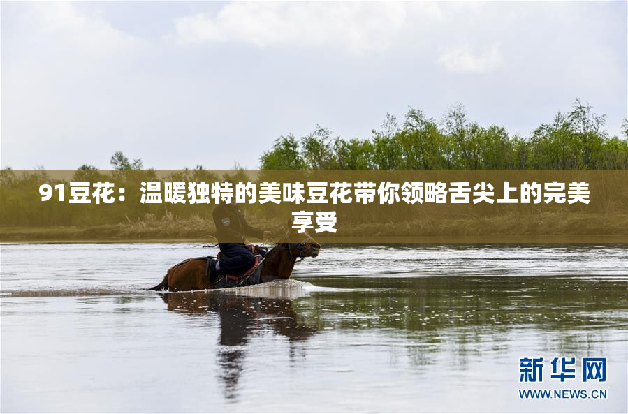 91豆花：温暖独特的美味豆花带你领略舌尖上的完美享受