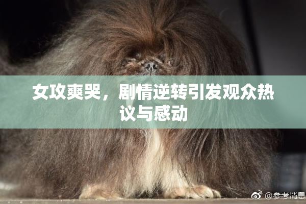 女攻爽哭，剧情逆转引发观众热议与感动