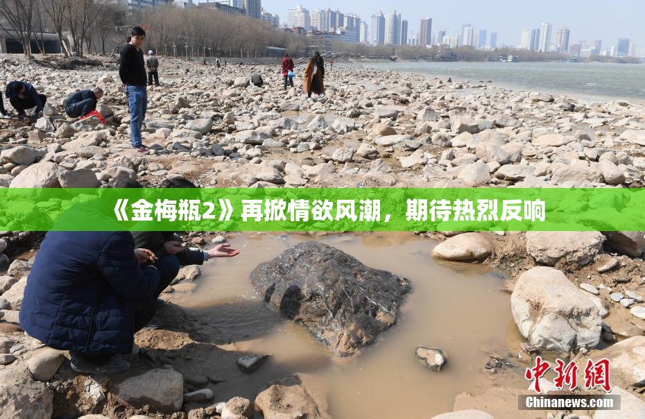《金梅瓶2》再掀情欲风潮，期待热烈反响