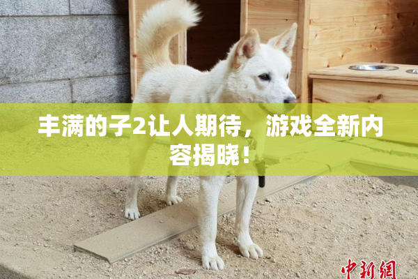 丰满的子2让人期待，游戏全新内容揭晓！