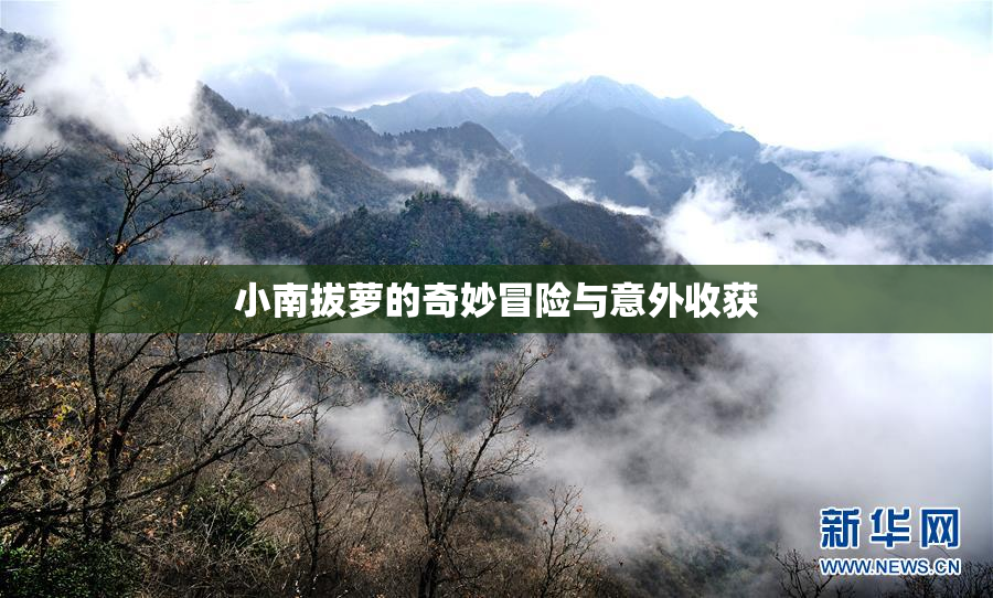 小南拔萝的奇妙冒险与意外收获
