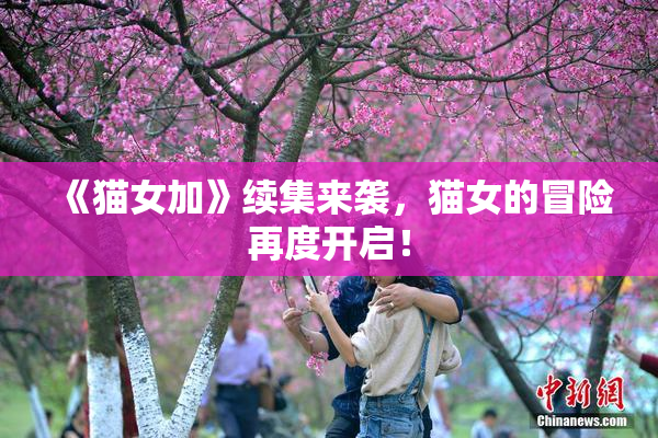 《猫女加》续集来袭，猫女的冒险再度开启！