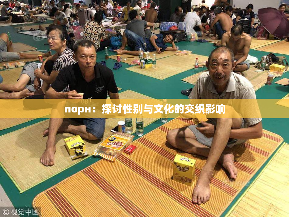 порн：探讨性别与文化的交织影响