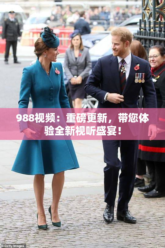 988视频：重磅更新，带您体验全新视听盛宴！