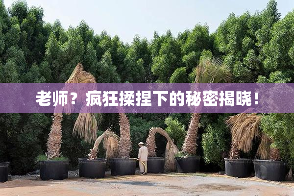 老师？疯狂揉捏下的秘密揭晓！