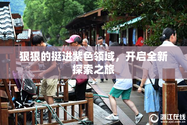狠狠的挺进紫色领域，开启全新探索之旅