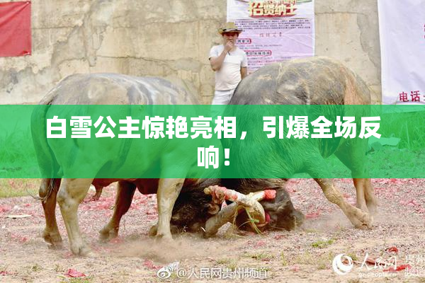 白雪公主惊艳亮相，引爆全场反响！