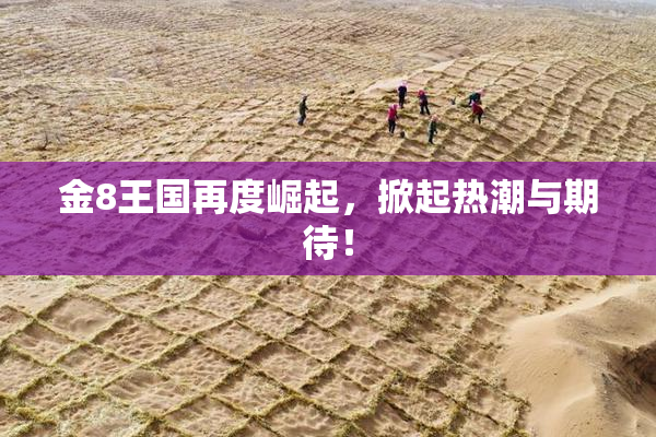 金8王国再度崛起，掀起热潮与期待！