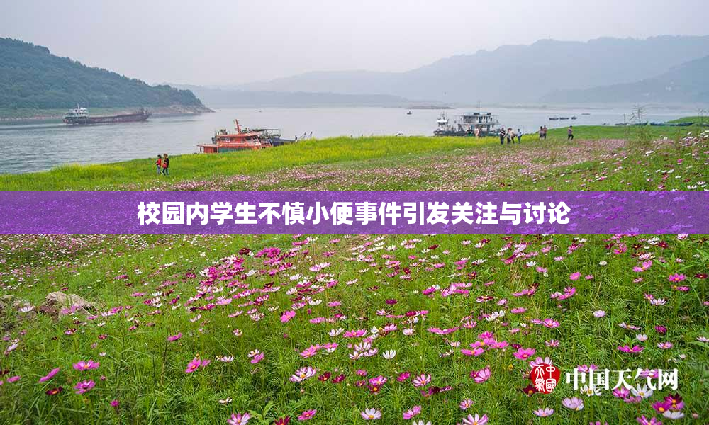 校园内学生不慎小便事件引发关注与讨论