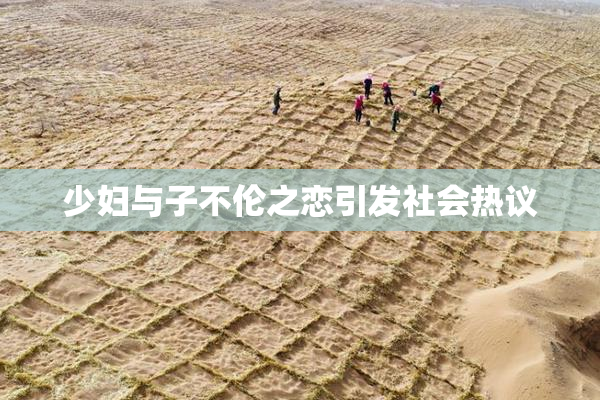 少妇与子不伦之恋引发社会热议
