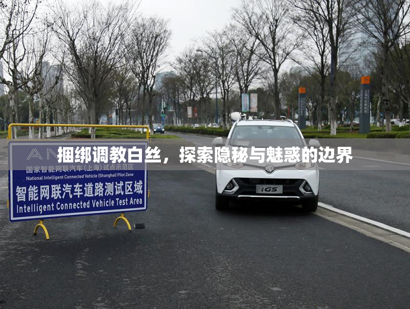 捆绑调教白丝，探索隐秘与魅惑的边界