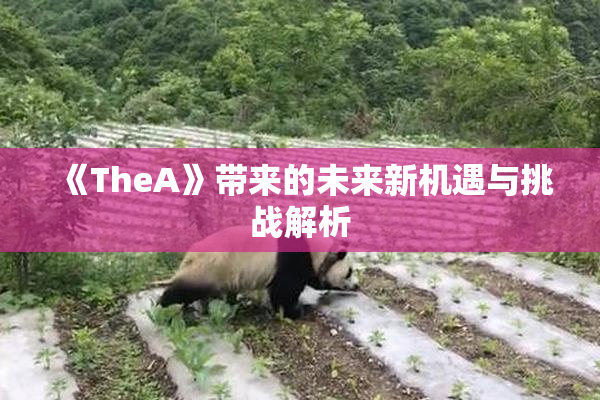 《TheA》带来的未来新机遇与挑战解析